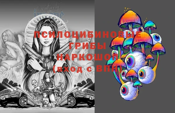 герыч Бердск