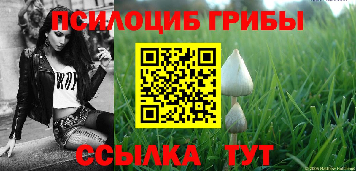 Галлюциногенные грибы MAGIC MUSHROOMS  Вход с VPN  Карабулак 